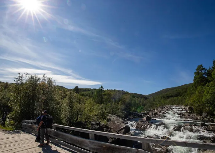 Exclusive And Cozy Area Appartement